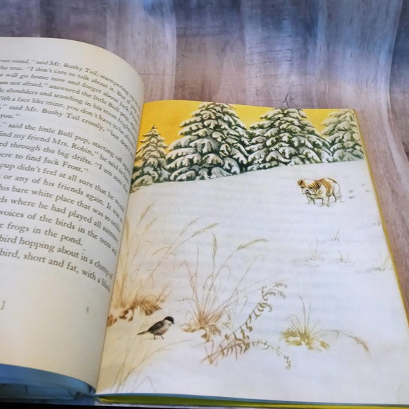 Nipper the Little Bull Pup ~Dorothy K. L'Hommedieu Vintage Childrens Book (bb2) - Picture 5 of 7